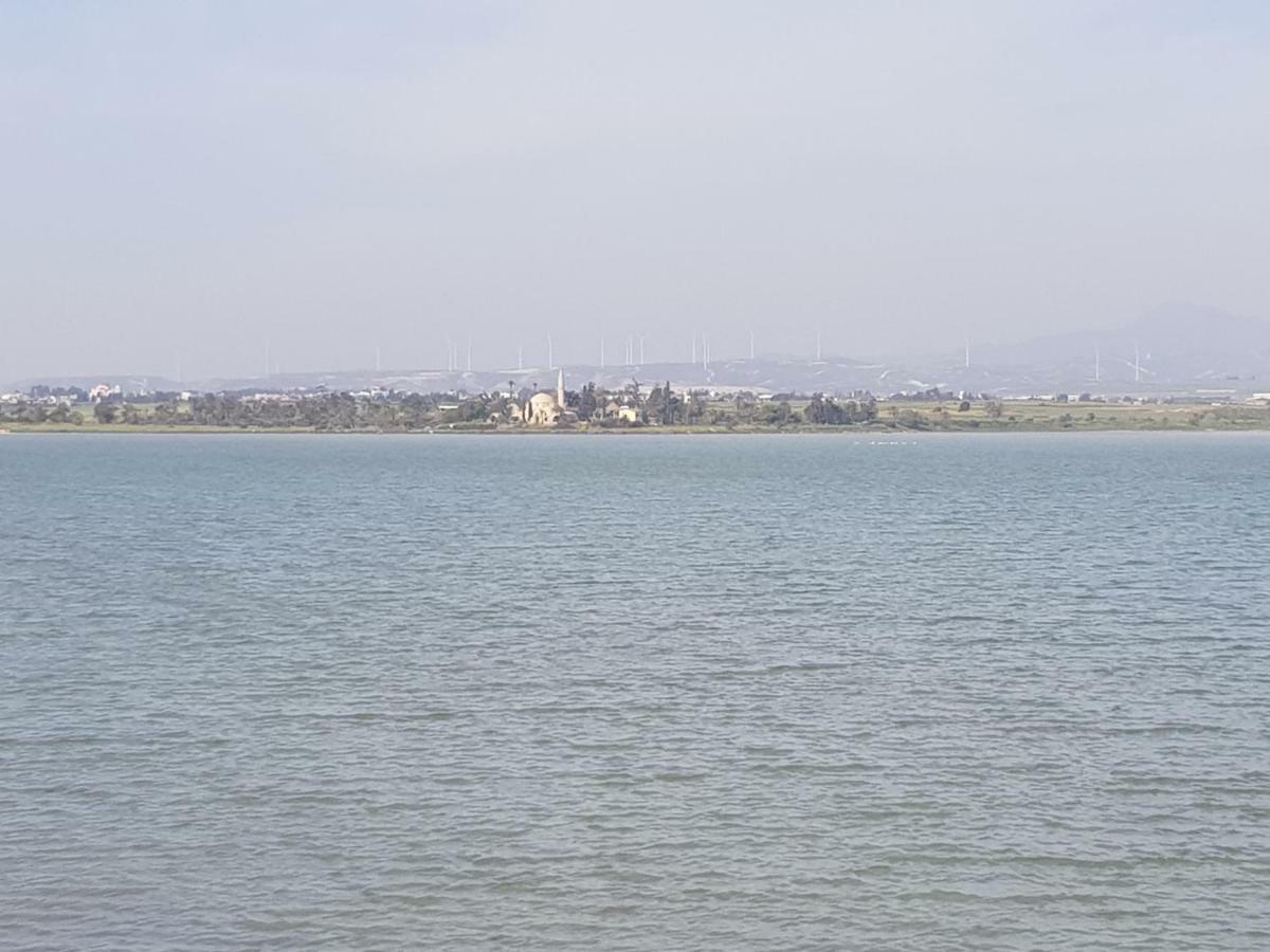Haig'S Dream Flat On The Beach Larnaca Exterior photo